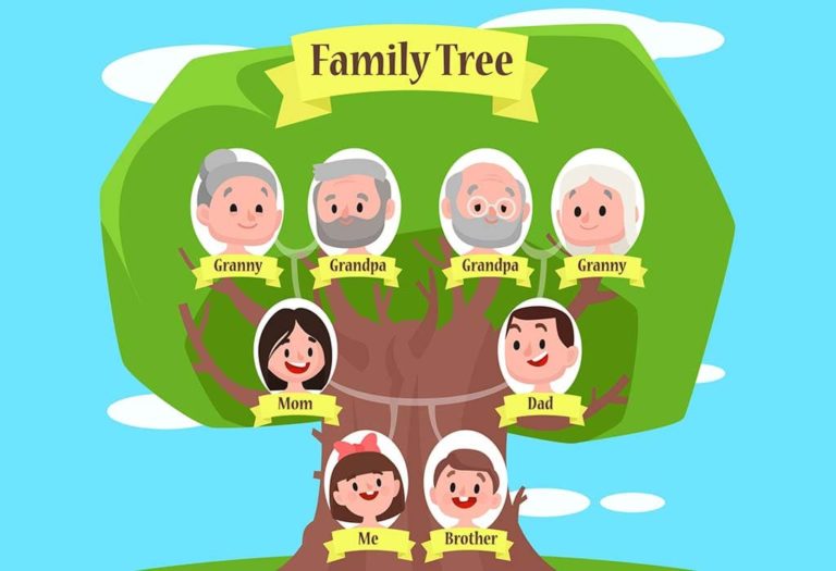 Family Tree – aprender computo